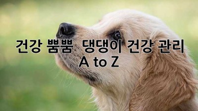 건강 뿜뿜! 💪 댕댕이 건강 관리 A to Z 🐶💖